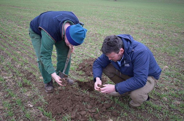 Soil assessment at Castle Hill field 13 May 2021